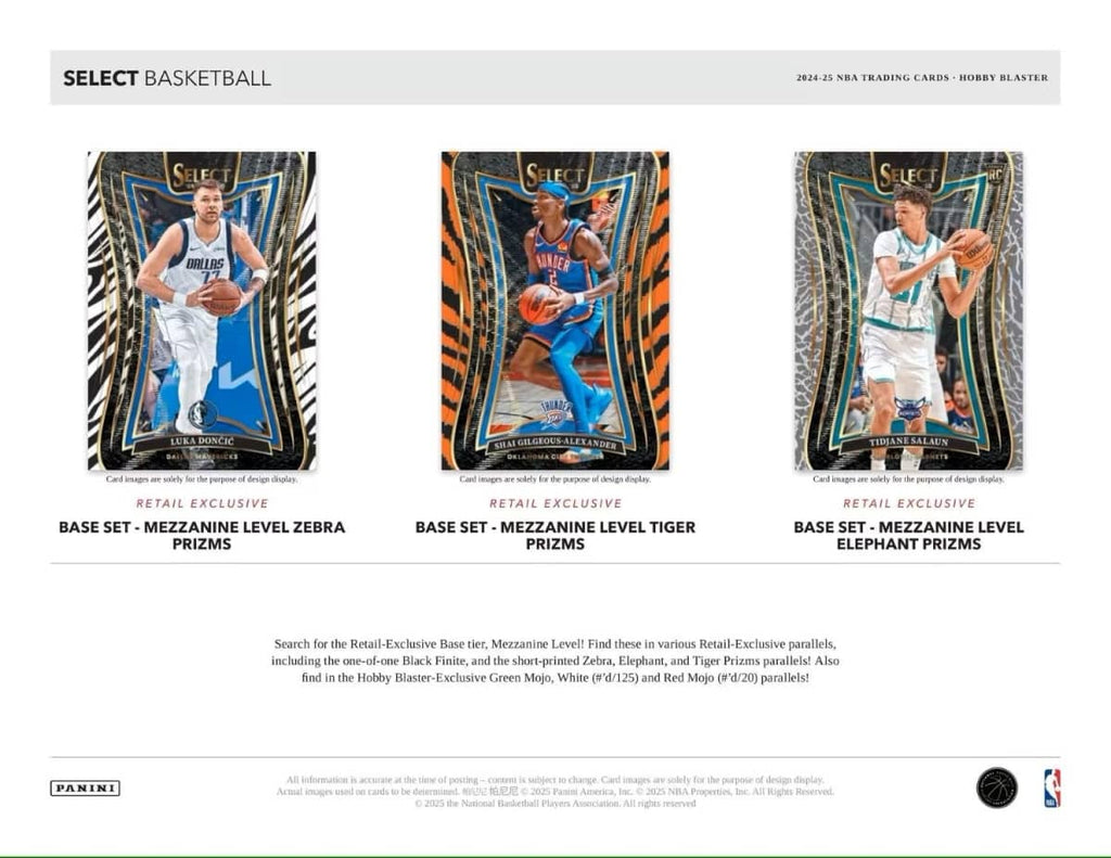 24/25 Panini Select Basketball Mega Boks