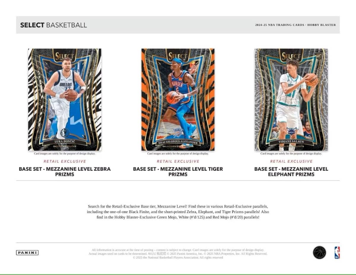 24/25 Panini Select Basketball Mega Boks